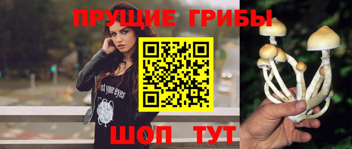 Лыткарино  Псилоцибиновые грибы MAGIC MUSHROOMS  Вход с VPN  Галлюциногенные грибы Psilocybine cubensis 